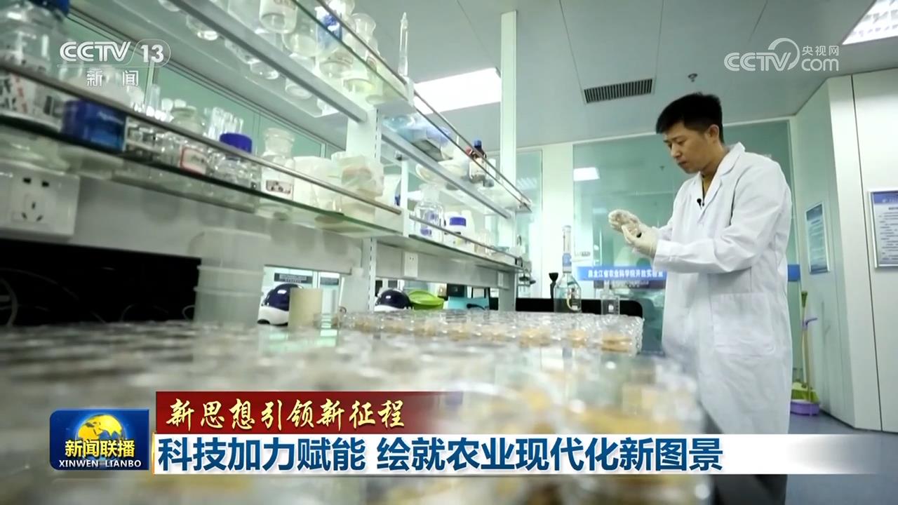 【新思想引领新征程】科技加力赋能绘就农业现代化新图景(图4)