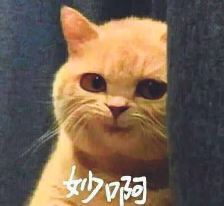 《哪吒2》中的六星连珠是什么天象︱看电影学天文(图8)