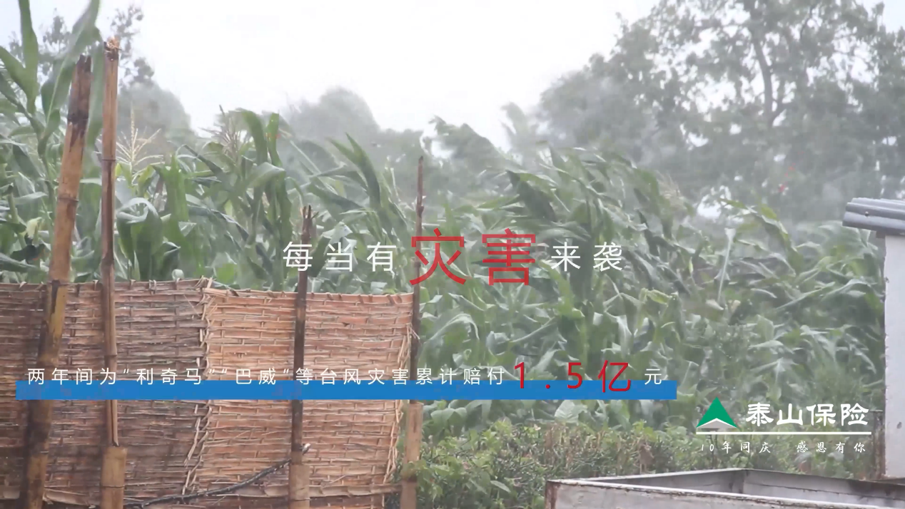 科技赋能农险“双精准”泰山保险全力护航乡村振兴(图2)