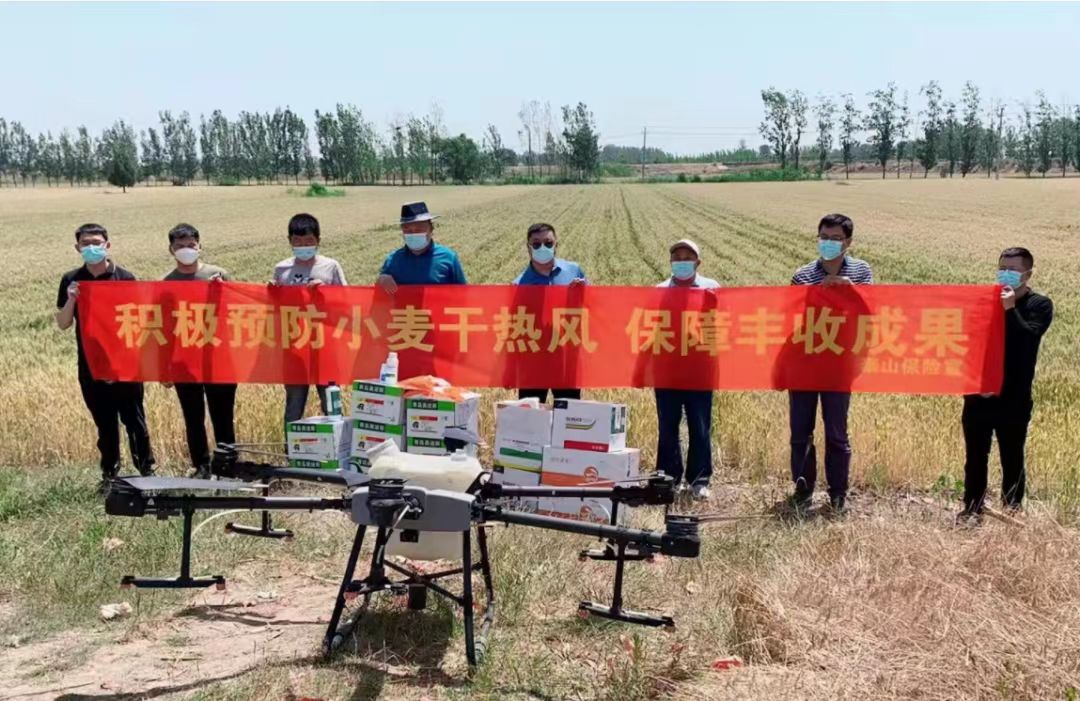 科技赋能农险“双精准”泰山保险全力护航乡村振兴(图4)