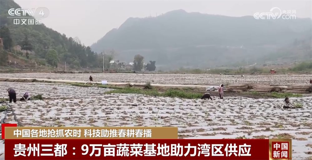 各地“新”潮澎湃勾勒绚丽“科技春耕图” 为丰产增收开好局、起好步(图6)