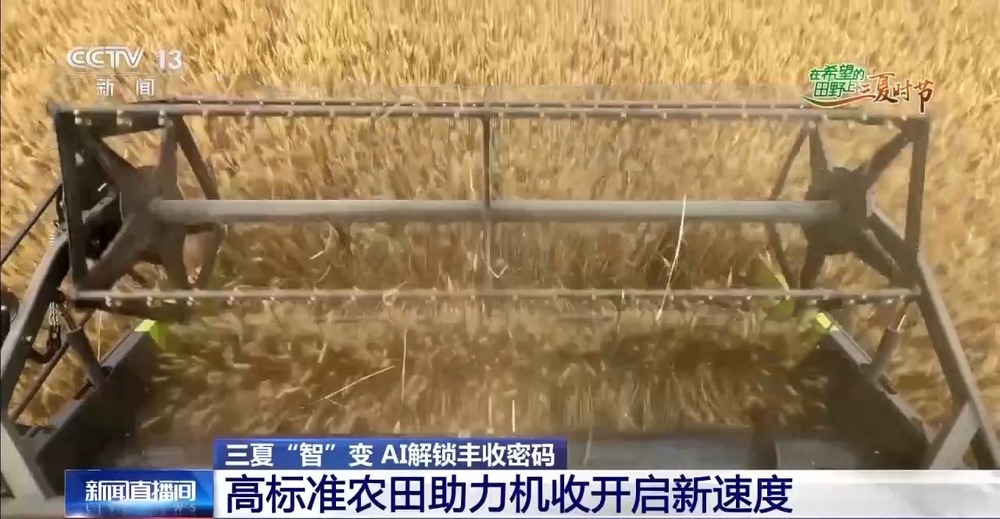 “三夏”AI智能体带您解锁丰收密码！(图8)