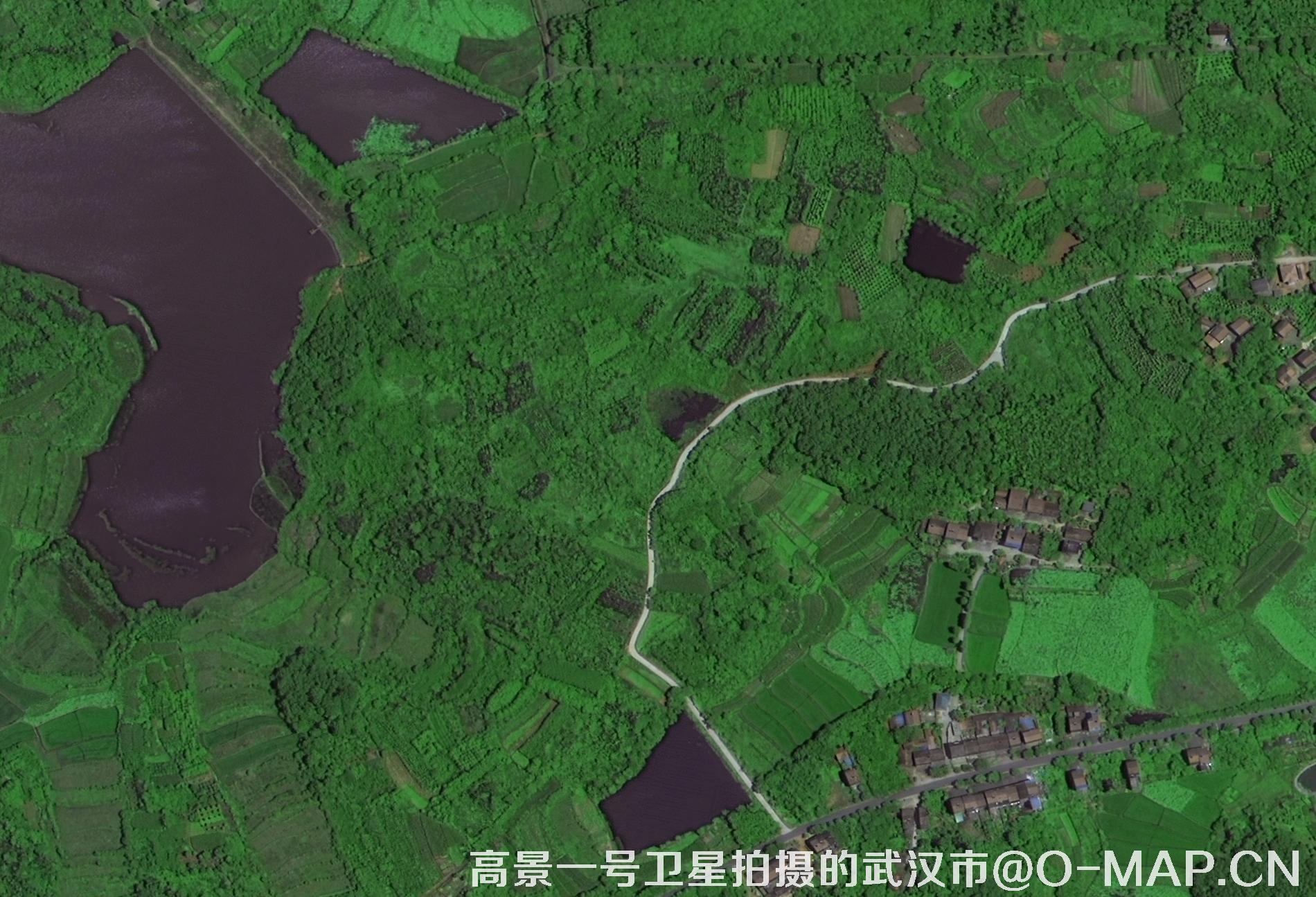 遥感卫星数据+数字AI技术+传统山水画！“空天视角下的关山月写生之路”展览开幕(图1)