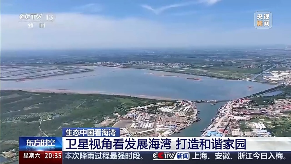 保护潮起潮落间的美丽！看这是建设海湾的“硬核”实力