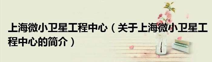 上海微小卫星工程中心（关于上海微小卫星工程中心的简介）(图1)