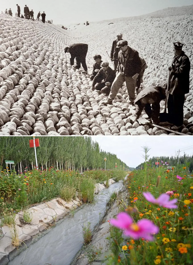 茫茫荒漠披上花衣(图2)
