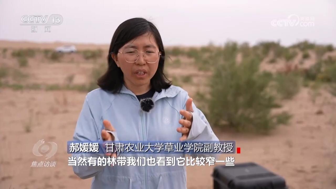 焦点访谈｜久久为功 祖国北疆筑起抵御风沙“绿色长城”(图3)