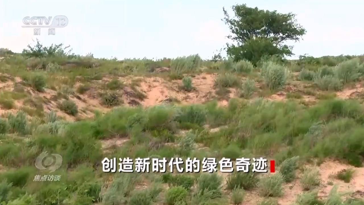 焦点访谈｜久久为功 祖国北疆筑起抵御风沙“绿色长城”(图6)