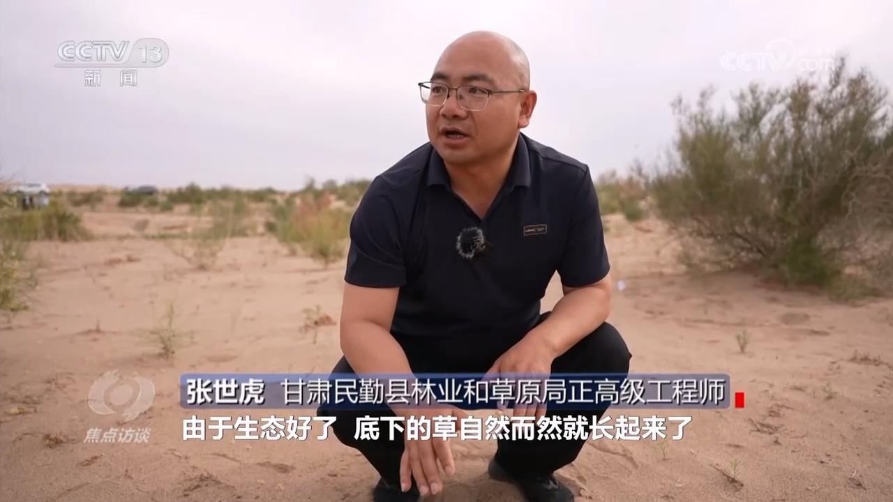 焦点访谈｜久久为功 祖国北疆筑起抵御风沙“绿色长城”(图5)