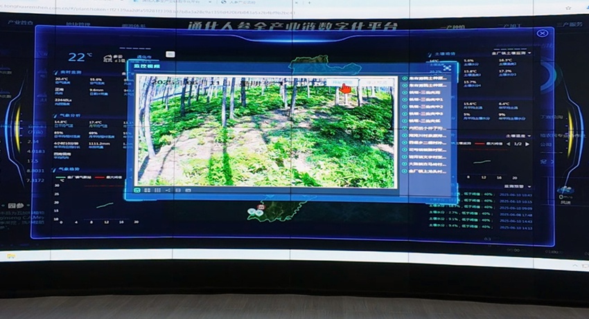 行进中国丨冲刺千亿级！通化医药高新区踏上“新”征程(图1)