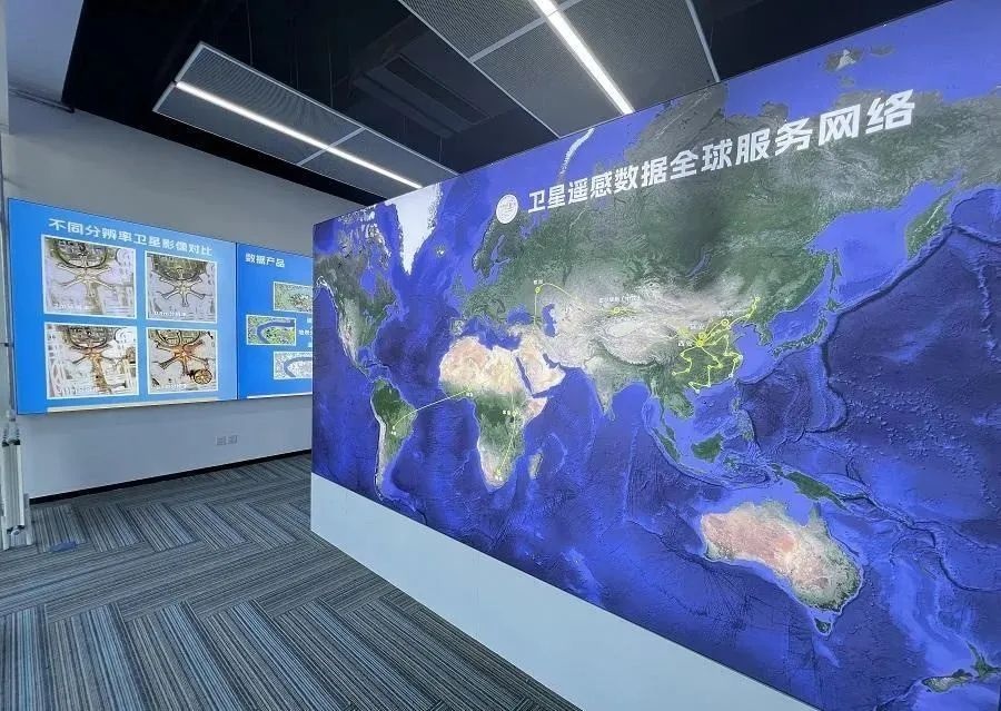 陕西西咸新区守护“绿色精灵”(图2)