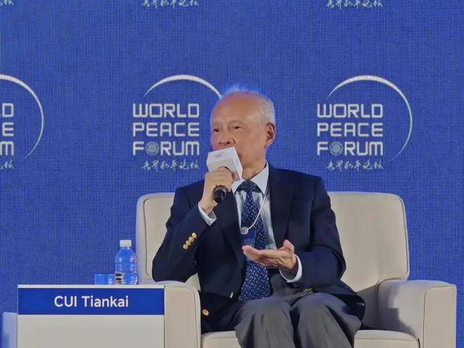 中国前驻美大使崔天凯：中国要统一没什么好商量(图1)