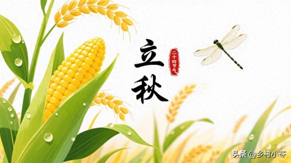 “立秋有雨样样收立秋无雨人人忧”今年有雨吗？有啥预兆(图1)