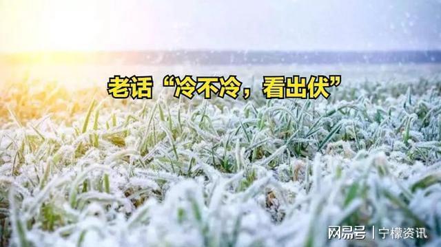 出伏晴雨定冬寒？19日天气藏玄机(图2)