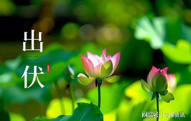 出伏晴雨定冬寒？19日天气藏玄机(图1)