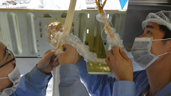 期货重塑“上海价格”全球坐标 上海“十五五”开局(图1)