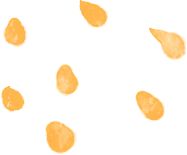 青鸟计划丨东营区2026年寒假“返家乡”社会实践开始啦~快来报名！(图1)