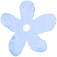 青鸟计划丨东营区2026年寒假“返家乡”社会实践开始啦~快来报名！(图2)