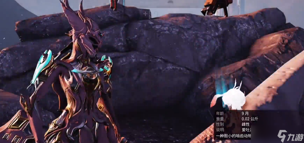 星际战甲地球怎么快速刷声望(图3)