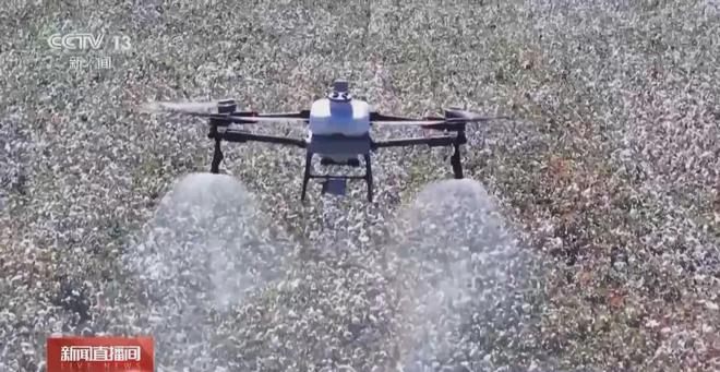 月亮上找水中国有望成为“全球首个”！(图22)