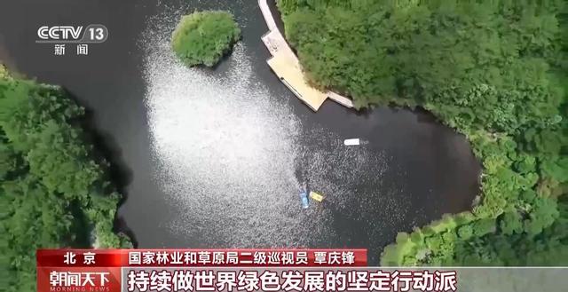 解锁绿色新高度全球新增绿化面积四分之一来自中国(图7)