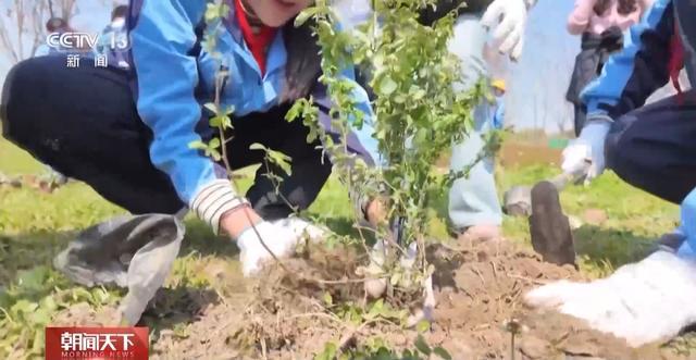 解锁绿色新高度全球新增绿化面积四分之一来自中国(图5)