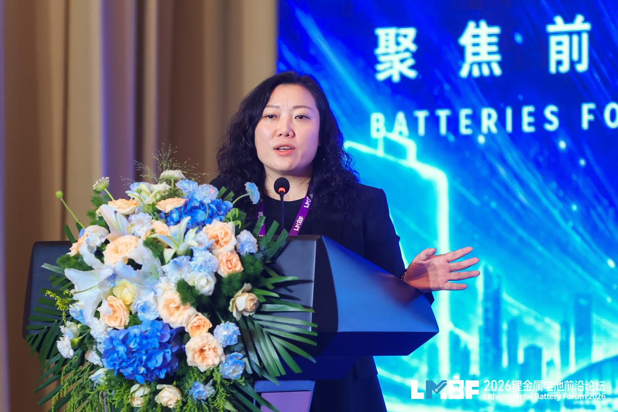 盟维科技520Whkg级锂金属电池再进阶：突破300圈深度充放电循环(图2)